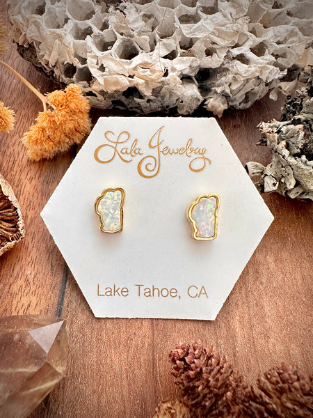 Tahoe Post Earrings